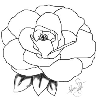 Alabama State Flower Coloring Page Coloring Pages