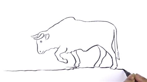 Bull line drawing / How to draw a bull easy. - YouTube