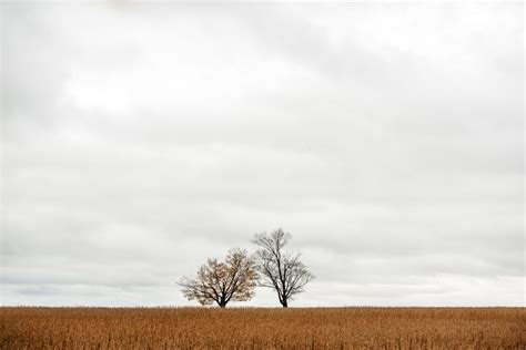 6 Important elements in minimalist photography, and why they work - Click Magazine