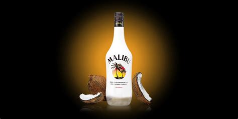 Malibu Price List: Find The Perfect Bottle Of Rum (2020 Guide)