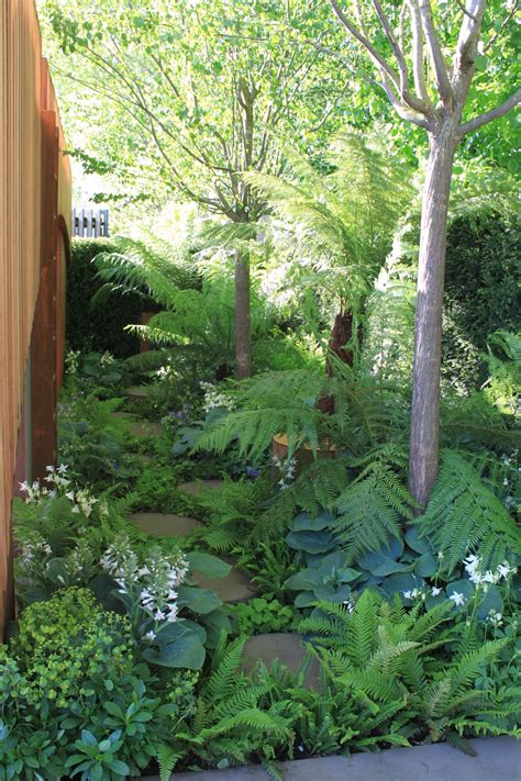 Homebase Garden Plants And Shrubs - decorooming.com