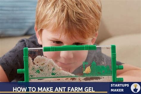 Ant Farm Gel Recipe: Step By Step Guide : StartupsMaker