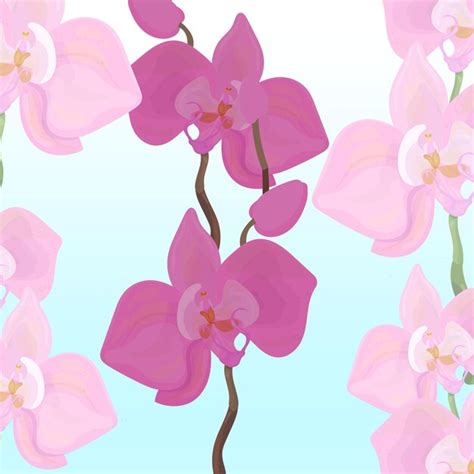 Premium Vector | Orchids on a light blue background