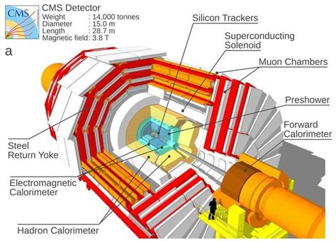 Particle physics discovery raises hope for a theory of everything