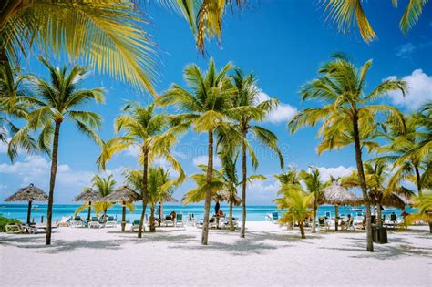 Palm Beach Aruba Caribbean, White Long Sandy Beach with Palm Trees at Aruba Stock Photo - Image ...