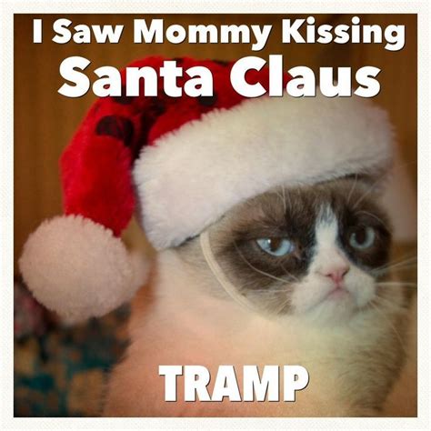 grumpy cat and christmas | Tard the Grumpy Cat Christmas | Xmas | Grumpy cat christmas, Funny ...