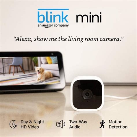 10 Best Indoor Security Cameras