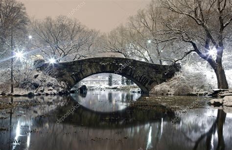 Central Park NYC at night in winter — Stock Photo © eddtoro35 #21657575