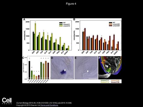 Volume 25, Issue 23, Pages (December 2015) - ppt download