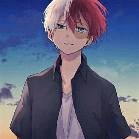 Shoto Todoroki Pfps ~ Todoroki Shouto Shoto | Bodrumwasurt