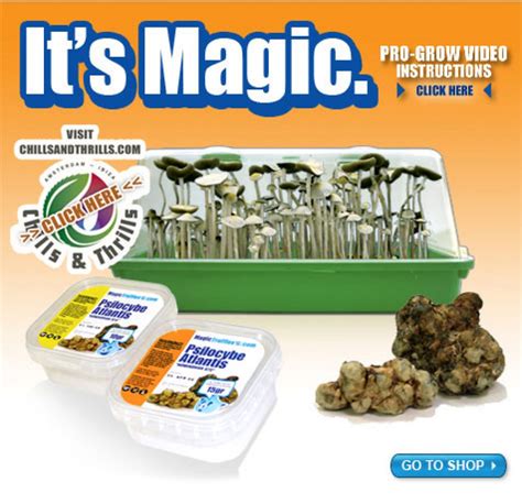 Magic Truffles . Com Smartshop Amsterdam