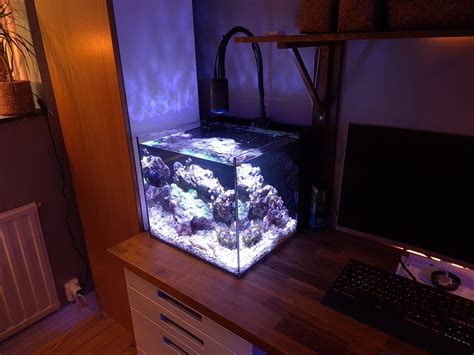 Waterbox CUBE 20 lighting | Reef2Reef