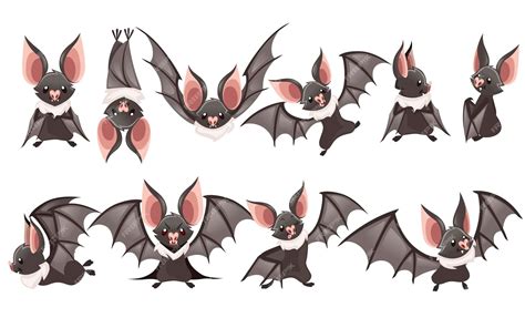 Premium Vector | Set of cartoon vampire bat cute animal design illustration