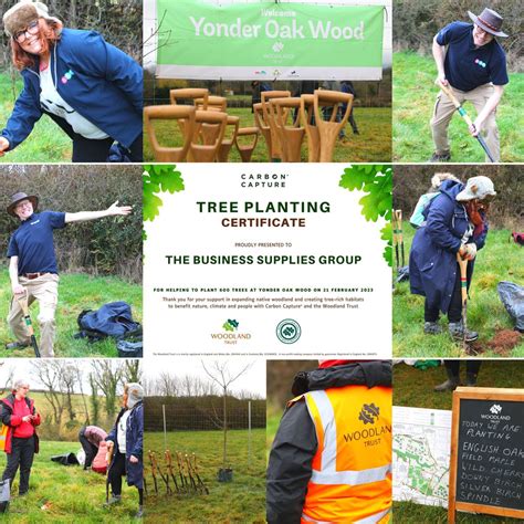 Planting trees to support the Woodland Trust — The Business Supplies Group