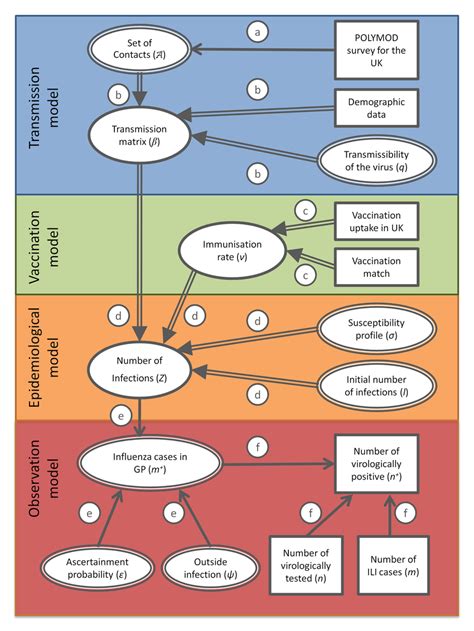 Directed acyclic graph showing the link between the different modelling ...