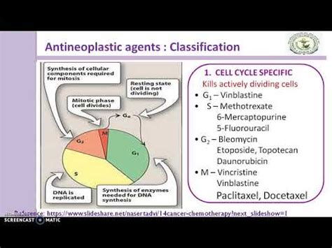 Antineoplastic agents classification - YouTube