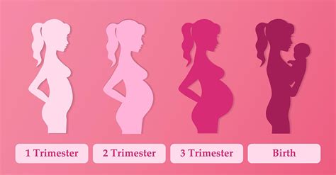 First Trimester Pregnancy Health Tips - Beaumont Emergency Hospital