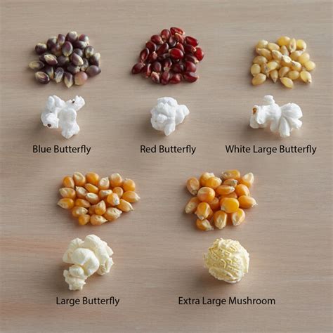 White Butterfly Popcorn Kernels - 50 lb. Bulk Bag