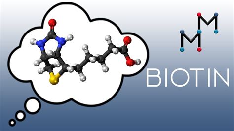 Biotin Carboxylation Mechanism - YouTube