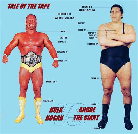 Andre The Giant Vs Hulk Hogan