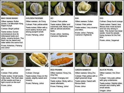 5 Things You Need to Know about Durians Before Eating Them! [Updated] | Durian, Organic recipes ...