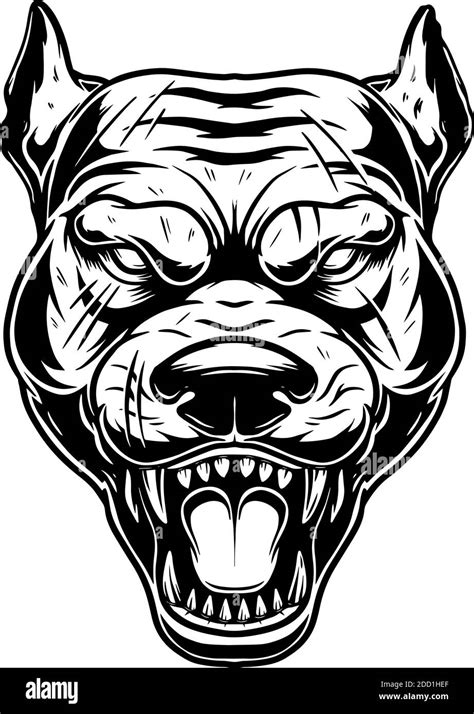 Illustration of head of angry pitbull in vintage monochrome style ...