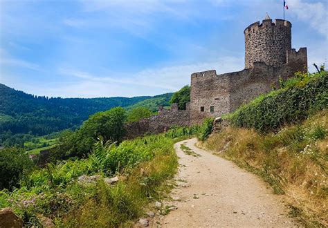 Walking the Alsace Wine Route | Macs Adventure