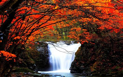 Autumn Waterfall Wallpapers - Top Free Autumn Waterfall Backgrounds - WallpaperAccess