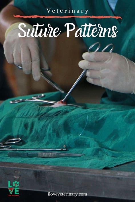 Veterinary Suture Patterns | Veterinary, Vet tech notes veterinary medicine, Sutures