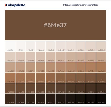 Coffee information | Hsl | Rgb | Pantone