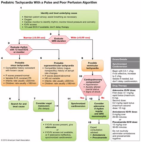 Pulseless Ventricular Tachycardia Algorithm