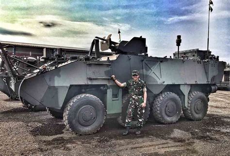 Pandur II APC Version | Military vehicles, Armed forces, Military