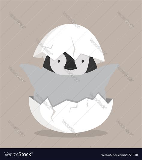 Cute baby penguin hatched in egg Royalty Free Vector Image