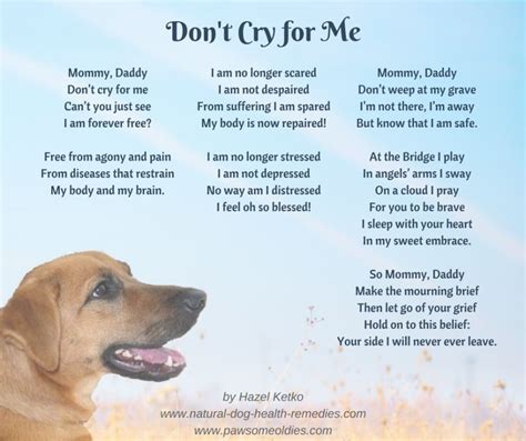 Pet Loss Poems - Celebrating the Love and Lives of Our Dogs | Pet loss poem, Dog loss quotes ...