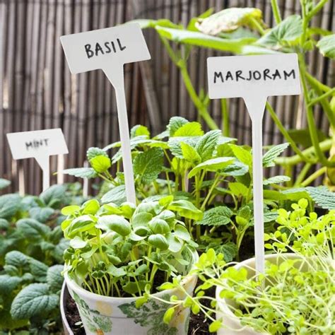 40Pcs Outdoor Plant Label, Plastic Plant T-Type Tags, Durable Nursery ...