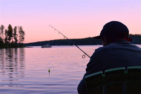 New study finds extremely high levels of 'forever chemicals' in Great Lakes fish - WPR