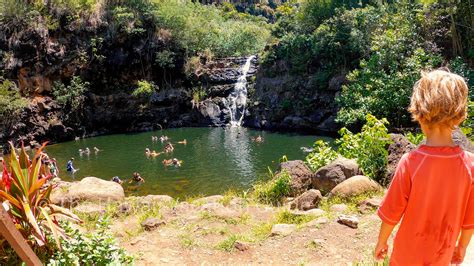 Waimea Valley Waterfall Swim Self-Guide Tour - The Hawaii Vacation Guide