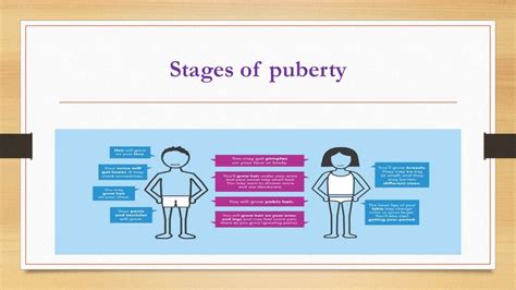 Report stages of puberty