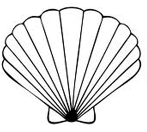 Free Sea Shell Clipart, Download Free Sea Shell Clipart png images, Free ClipArts on Clipart Library