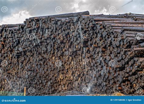 Impregnation Timbers with Creosote for Wood Preservation. Stock Photo - Image of pole ...