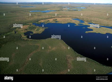 Aerial view of Selawik NWR wetlands. Subjects: Scenics; Landscapes ...