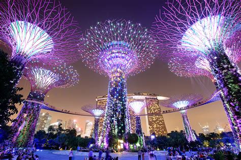 Images Singapore Gardens by the Bay Parks night time Cities