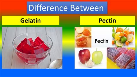 Difference Between Gelatin and Pectin - YouTube