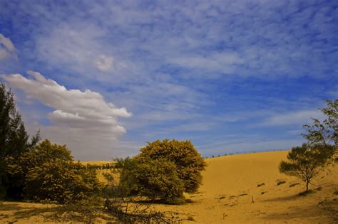 Mui Ne Sand Dunes #4 Free Stock Photo - Public Domain Pictures