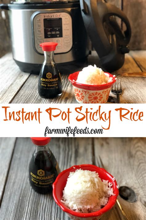 Instant Pot Sticky Rice - The Farmwife Feeds