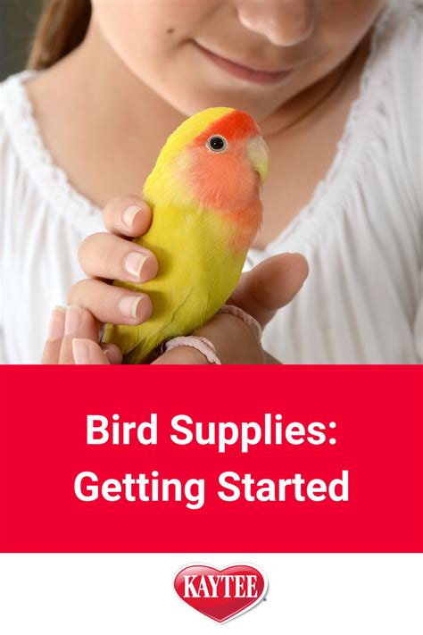 Bird Supplies: Getting Started | Bird supplies, Bird, Pet birds