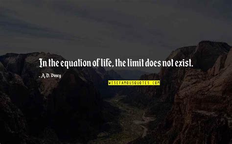 The Limit Does Not Exist Quotes: top 11 famous quotes about The Limit Does Not Exist