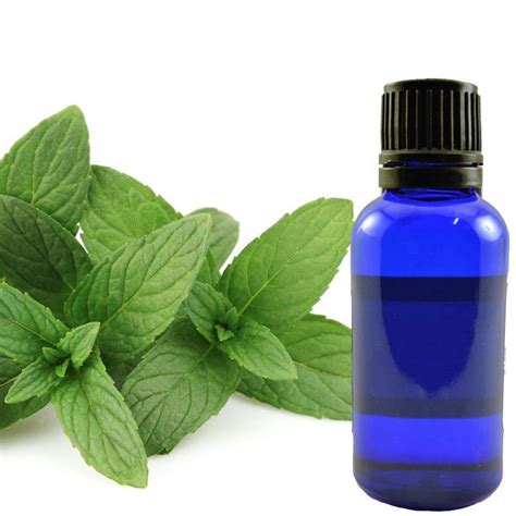 Peppermint Essential Oil Buy Online • Herb Stomp