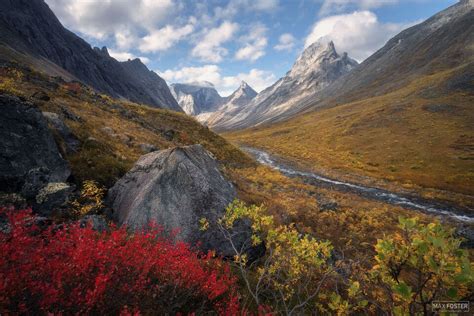 Wild Alaska | Arctic Wilderness Photographic Art | Max Foster Photography