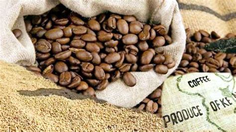 Who Are the Biggest Coffee Exporters in Kenya?